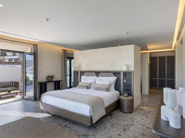 Aeonic Suites and Spa : photo 3 de la chambre suite celestial avec piscine privée