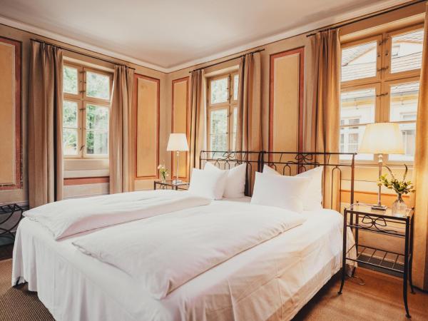 Hotel Villa Sorgenfrei & Restaurant Atelier Sanssouci : photo 2 de la chambre chambre simple - elbauenzimmer