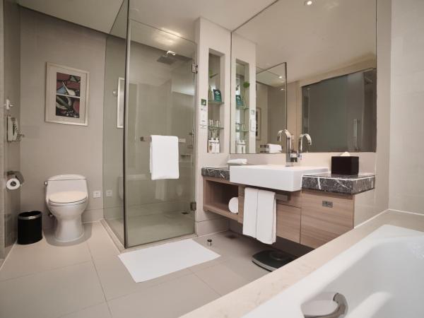 Holiday Inn Tianjin Riverside, an IHG Hotel : photo 3 de la chambre suite junior lit king-size