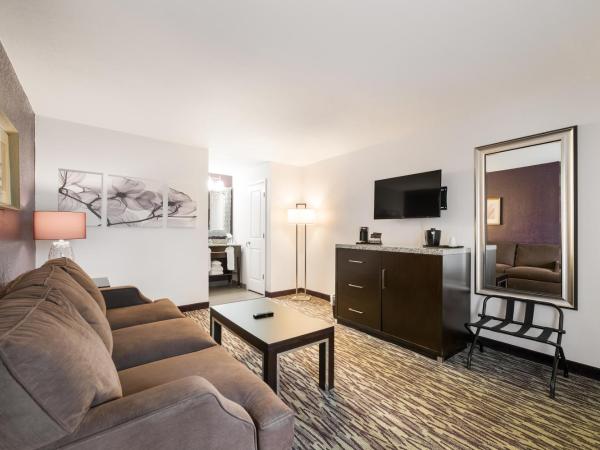 Clarion Inn & Suites Across From Universal Orlando Resort : photo 5 de la chambre suite lit king-size avec canapé-lit - non-fumeurs