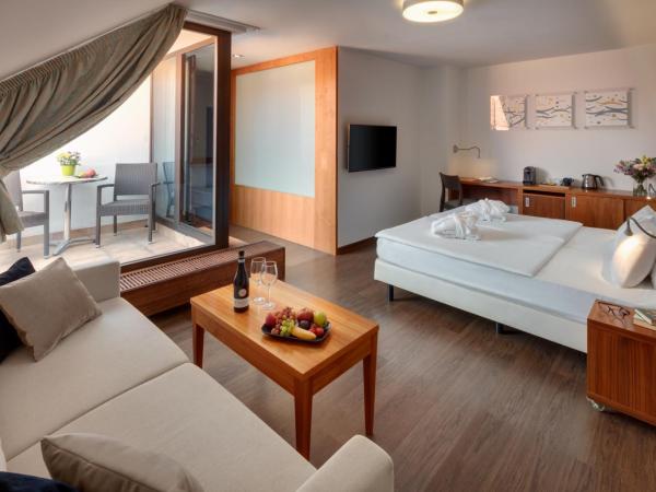 Hotel Carol : photo 1 de la chambre suite exécutive