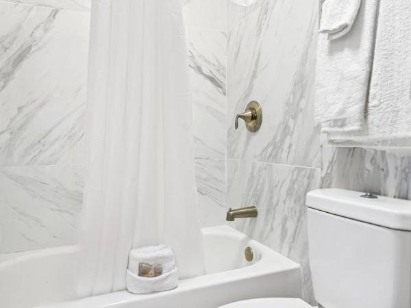 Red Roof Inn Tampa Fairgrounds - Casino : photo 7 de la chambre chambre lit king-size supérieure - non-fumeurs