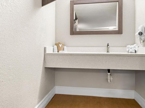 Red Roof Inn Tampa Fairgrounds - Casino : photo 6 de la chambre chambre lit king-size supérieure - non-fumeurs