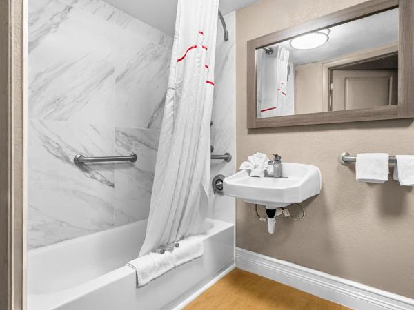 Red Roof Inn Tampa Fairgrounds - Casino : photo 4 de la chambre chambre lit king-size standard - accessible aux personnes à mobilité réduite - non-fumeurs