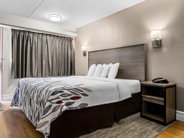 Red Roof Inn Tampa Fairgrounds - Casino : photo 2 de la chambre chambre standard lit king-size pour personnes à mobilité réduite avec douche accessible en fauteuil roulant - non-fumeurs