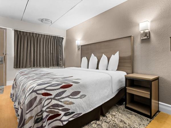 Red Roof Inn Tampa Fairgrounds - Casino : photo 2 de la chambre chambre lit king-size standard - accessible aux personnes à mobilité réduite - non-fumeurs