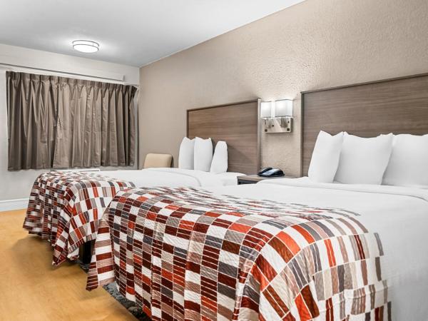 Red Roof Inn Tampa Fairgrounds - Casino : photo 1 de la chambre chambre deluxe avec 2 lits doubles - non-fumeurs