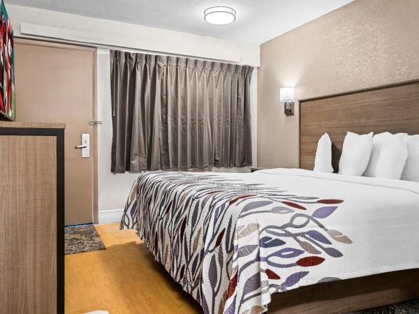 Red Roof Inn Tampa Fairgrounds - Casino : photo 1 de la chambre chambre lit king-size standard - non-fumeurs