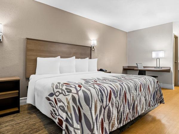 Red Roof Inn Tampa Fairgrounds - Casino : photo 2 de la chambre chambre lit king-size supérieure - non-fumeurs