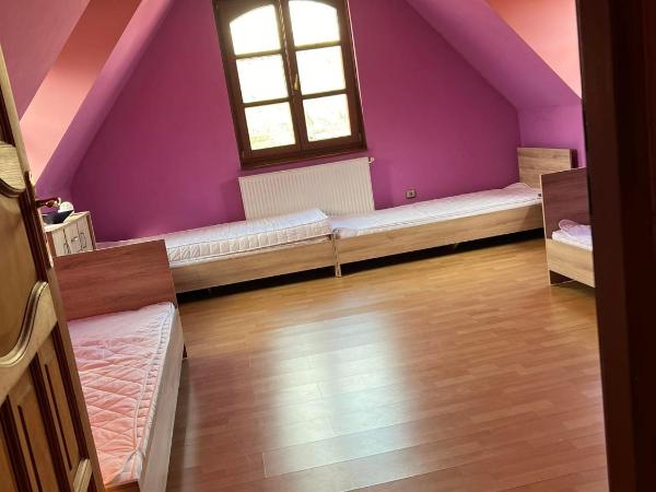 Bianka Hostel & Car Rent Budapest : photo 2 de la chambre chambre quadruple - vue sur jardin