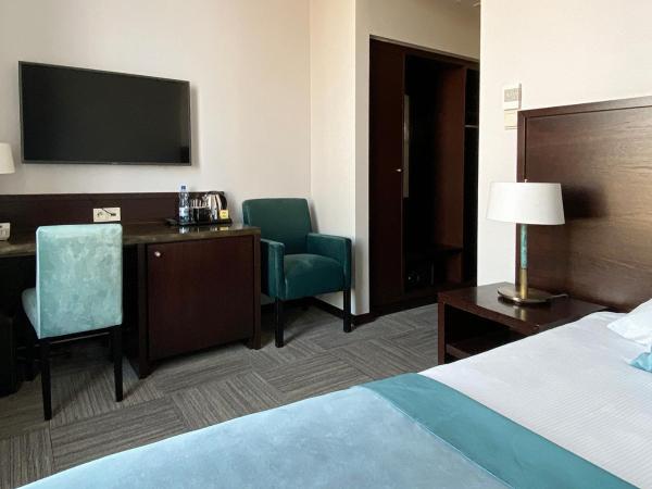 Europeum Hotel : photo 2 de la chambre chambre simple classique