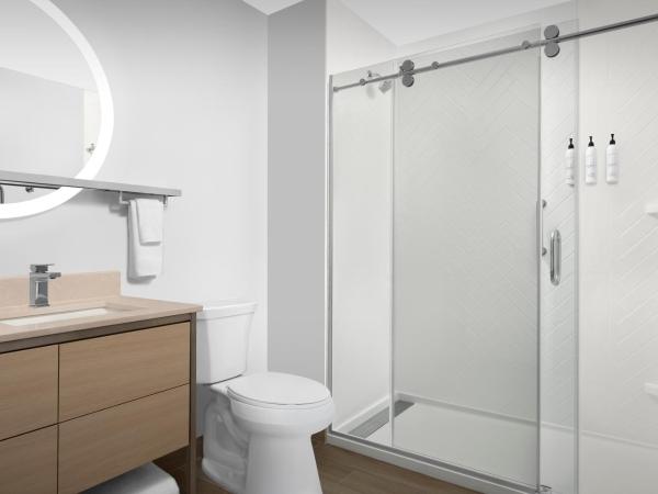 TownePlace Suites Jacksonville Airport : photo 3 de la chambre studio lit queen-size