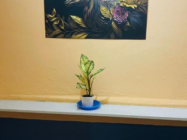 Hotel khana 100 : photo 1 de la chambre chambre double - vue sur montagne