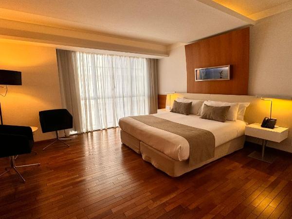 Design Suites Buenos Aires : photo 5 de la chambre studio