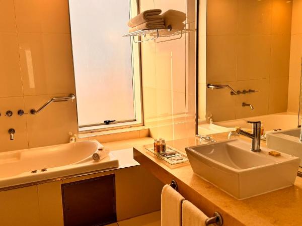 Design Suites Buenos Aires : photo 4 de la chambre studio deluxe