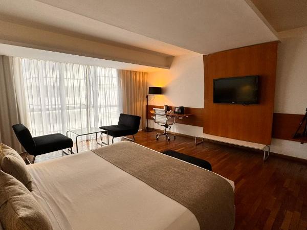 Design Suites Buenos Aires : photo 8 de la chambre studio deluxe