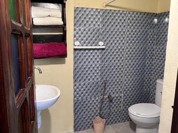 Dar kenza Tunis : photo 8 de la chambre appartement avec douche