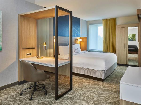 SpringHill Suites Charlotte at Carowinds : photo 2 de la chambre suite lit king-size avec canapé-lit et lit gigogne