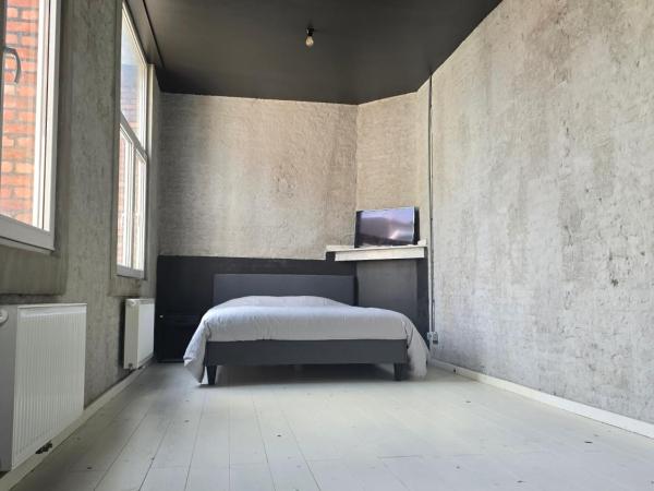 Living History - Suikernest : photo 2 de la chambre appartement 2 chambres - vue sur ville