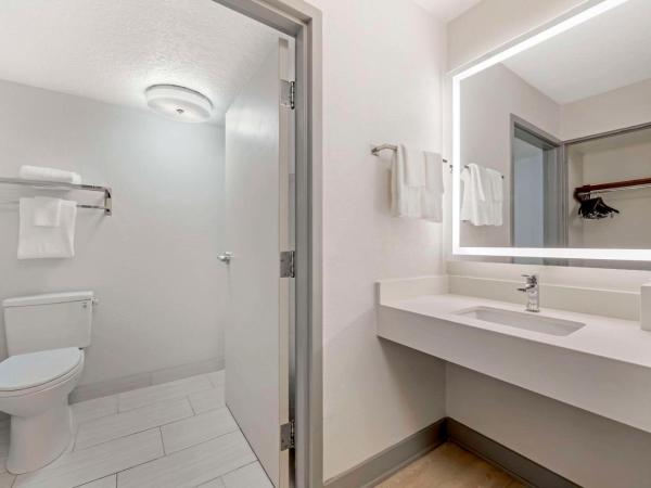 Comfort Inn & Suites Near Universal Orlando Resort-Convention Ctr : photo 1 de la chambre chambre lit king-size - non-fumeurs