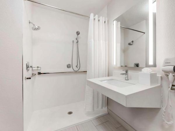 Comfort Inn & Suites Near Universal Orlando Resort-Convention Ctr : photo 2 de la chambre chambre lit king-size pour personnes à mobilité réduite - non-fumeurs