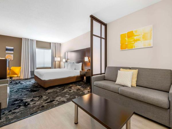 Comfort Inn & Suites Near Universal Orlando Resort-Convention Ctr : photo 2 de la chambre suite lit king-size avec canapé-lit - non-fumeurs