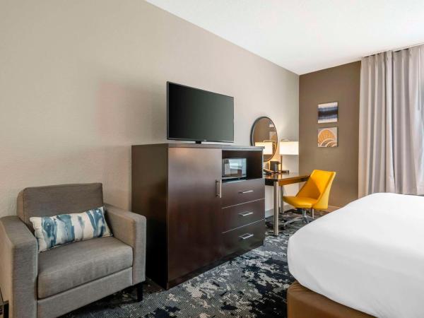 Comfort Inn & Suites Near Universal Orlando Resort-Convention Ctr : photo 3 de la chambre suite lit king-size avec canapé-lit - non-fumeurs