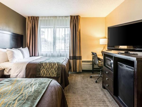 Comfort Inn Downtown : photo 5 de la chambre chambre double avec 2 lits doubles - non-fumeurs