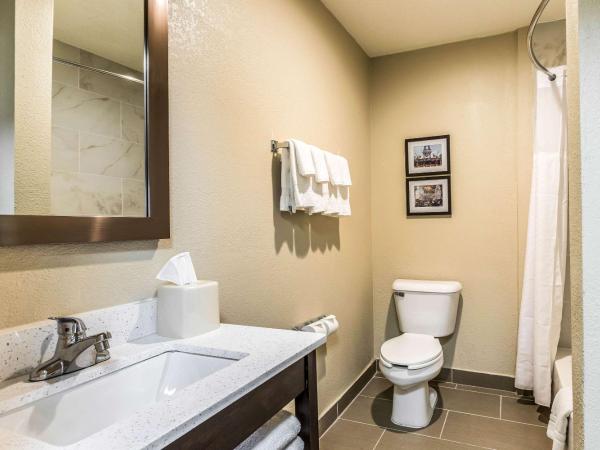 Comfort Inn Downtown : photo 6 de la chambre chambre double avec 2 lits doubles - non-fumeurs