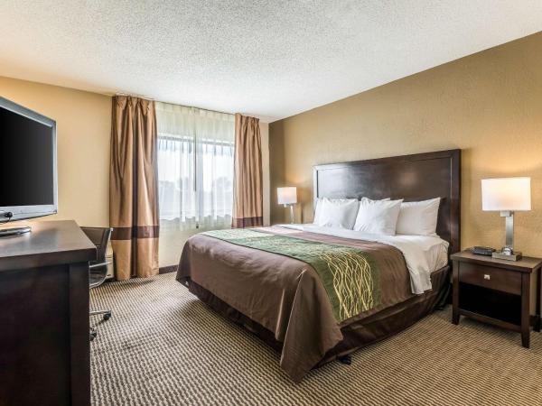 Comfort Inn Downtown : photo 1 de la chambre chambre lit king-size - non-fumeurs