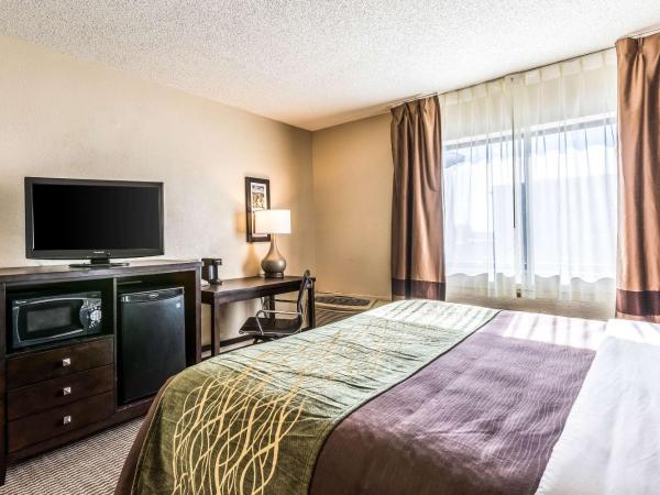Comfort Inn Downtown : photo 2 de la chambre chambre lit king-size - non-fumeurs