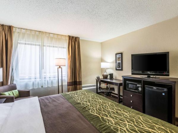 Comfort Inn Downtown : photo 2 de la chambre chambre lit king-size avec baignoire spa - non-fumeurs