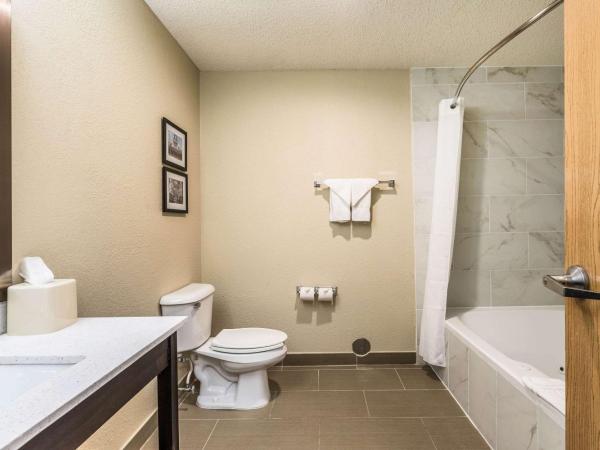 Comfort Inn Downtown : photo 3 de la chambre chambre lit king-size avec baignoire spa - non-fumeurs