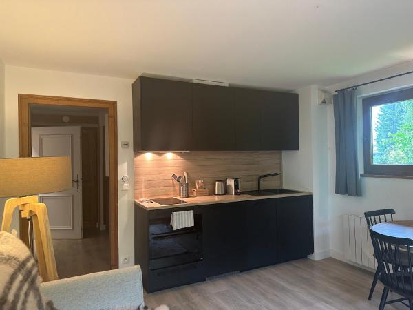 La Résidence de L'Ours : photo 9 de la chambre studio avec terrasse