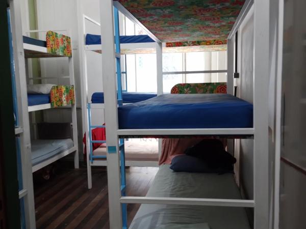 Lapa Casa Hostel : photo 10 de la chambre lit superposé dans dortoir mixte