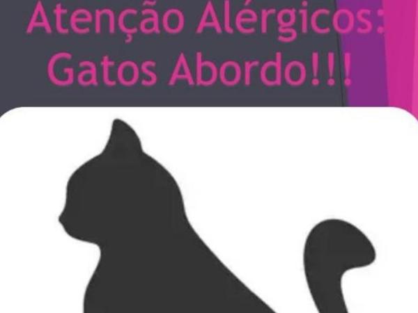 Lapa Casa Hostel : photo 10 de la chambre bed in mixed dormitory