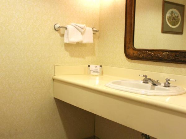 Monumental Hotel Orlando : photo 1 de la chambre chambre lit king-size