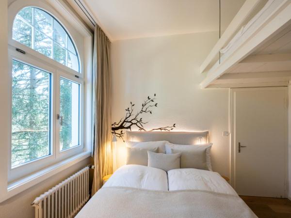 Hotel Edelweiss : photo 2 de la chambre appartement