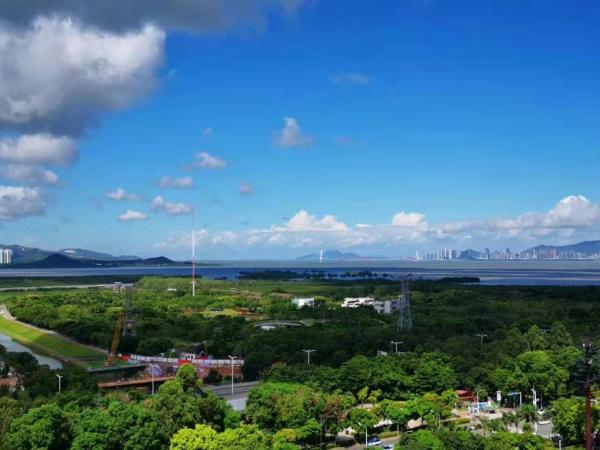 Hampton By Hilton Shenzhen Futian Mangrove Park Apartments : photo 6 de la chambre chambre lit king-size deluxe - vue sur mer