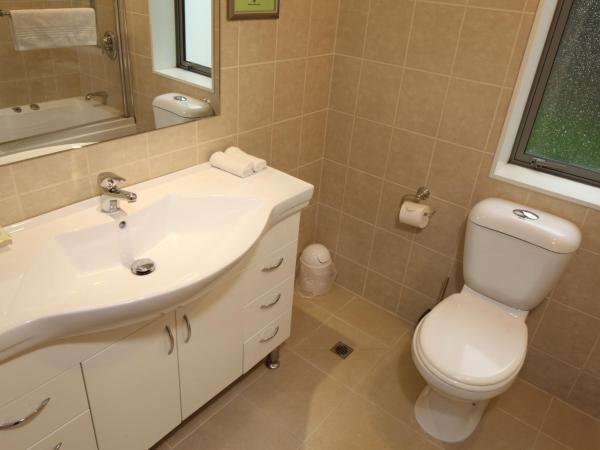 Alpha Motel : photo 7 de la chambre studio avec baignoire spa