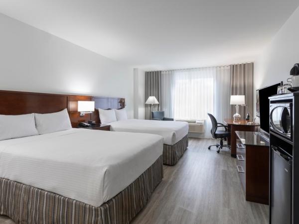 Le Nouvel Hotel : photo 1 de la chambre chambre avec 2 grands lits queen-size 