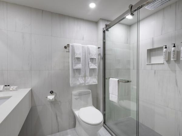 Le Nouvel Hotel : photo 5 de la chambre chambre avec 2 grands lits queen-size 