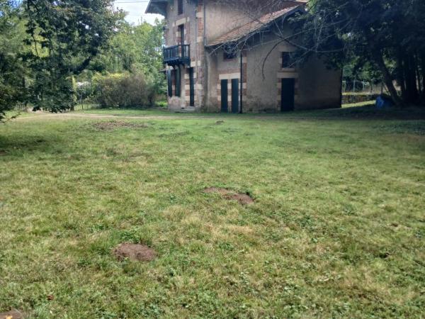 Château de Maucouvent : photo 5 de la chambre double room with patio (annex)