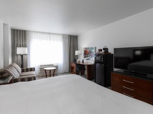 Le Nouvel Hotel : photo 3 de la chambre chambre lit king-size exécutive