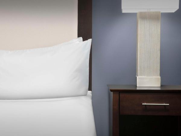 Homewood Suites Dallas Downtown : photo 1 de la chambre suite studio lit king-size - non-fumeurs