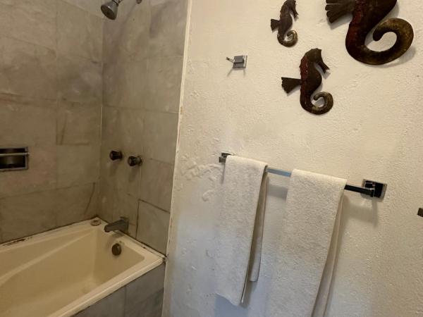 HAB PLANTA BAJA HOTEL TSORO 2 Adultos 1 menor IXTAPA WIFI GRATIS : photo 8 de la chambre chambre double deluxe