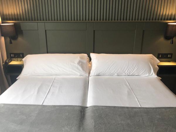 Nuria : photo 9 de la chambre chambre double ou lits jumeaux deluxe - vue sur ville 