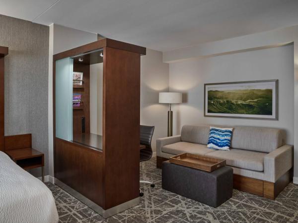 SpringHill Suites by Marriott Denver Downtown : photo 2 de la chambre studio lit queen-size avec canapé-lit