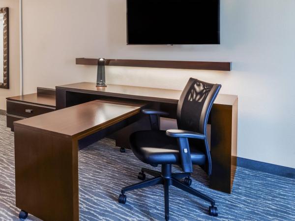 Courtyard Houston I-10 West/Park Row : photo 2 de la chambre chambre lit king-size avec canapé-lit