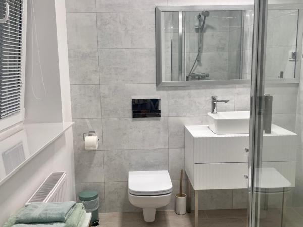Apartamenty Pokoje Willa Bielany : photo 7 de la chambre appartement - rez-de-chaussée